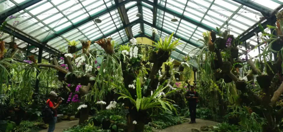 Tour image 3